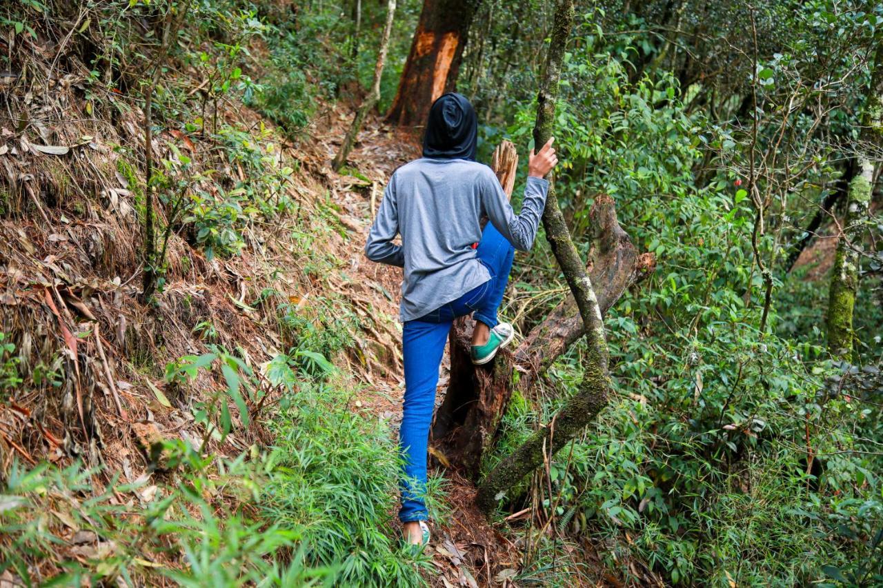 Notre Dame D'Arcadia Hotel Nuwara Eliya Kültér fotó
