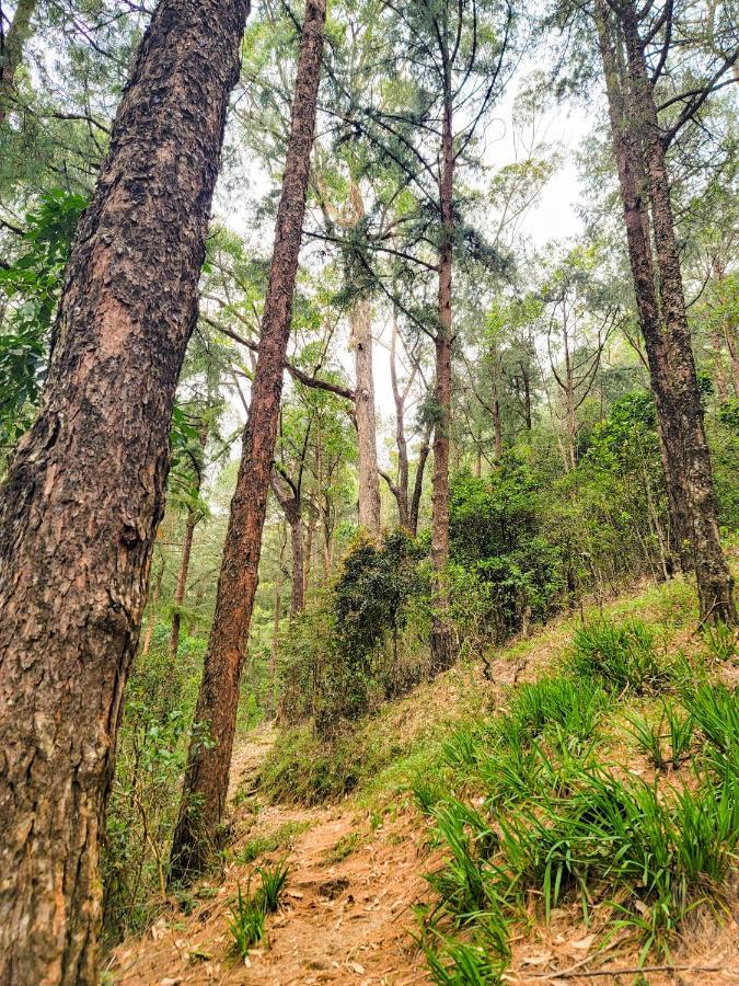 Notre Dame D'Arcadia Hotel Nuwara Eliya Kültér fotó