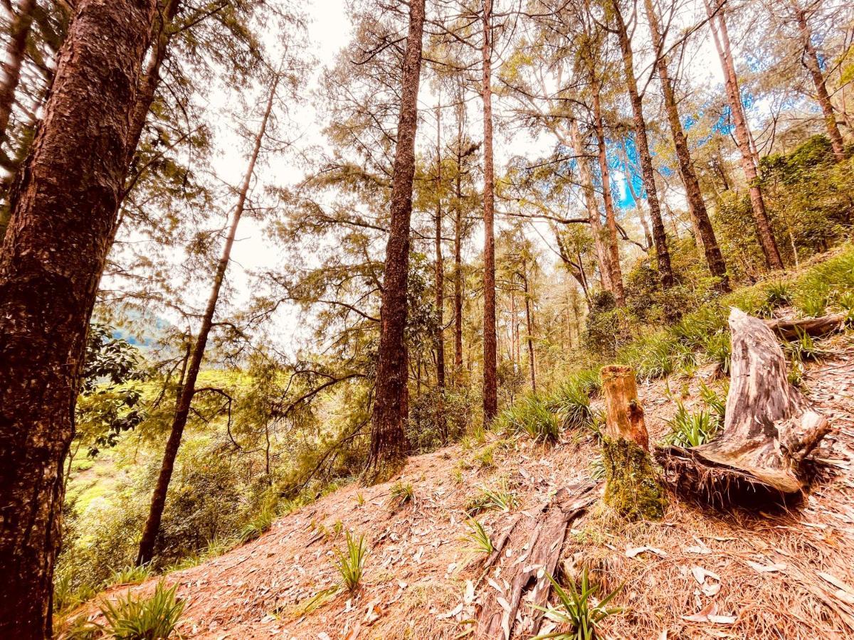 Notre Dame D'Arcadia Hotel Nuwara Eliya Kültér fotó